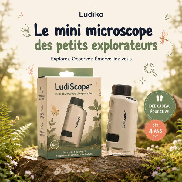 LudiScope