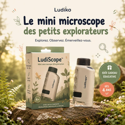 LudiScope