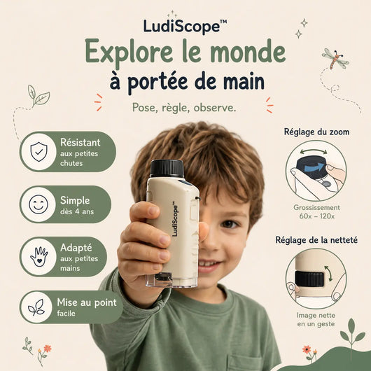LudiScope