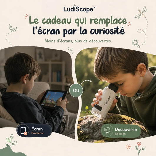 LudiScope