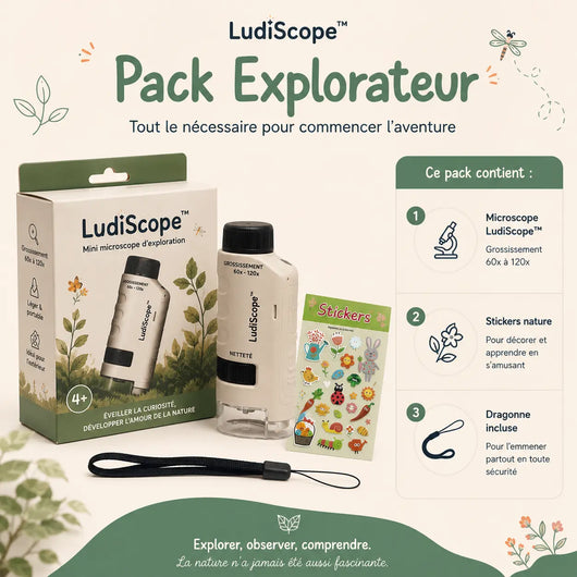 LudiScope