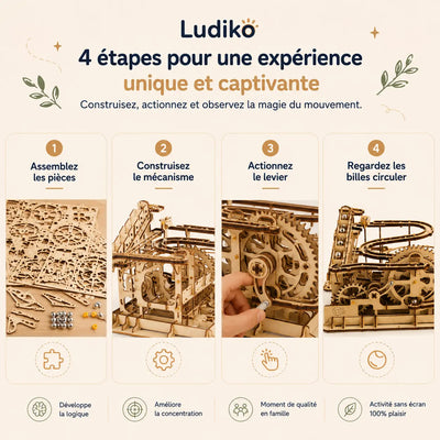 LudiCoaster