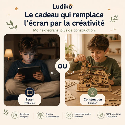 LudiCoaster