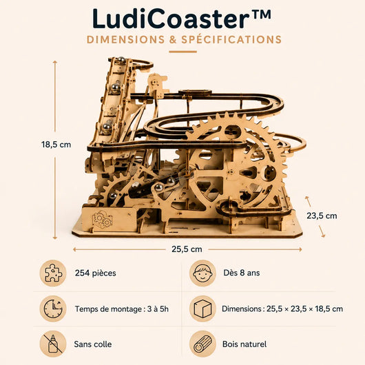 LudiCoaster
