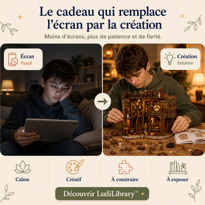 LudiLibrary
