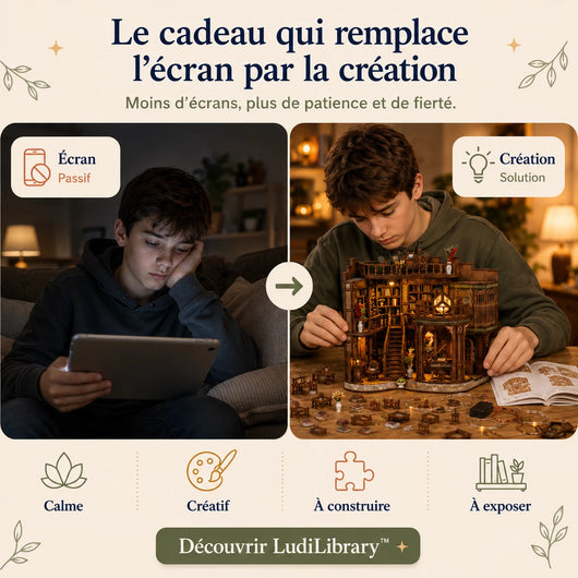 LudiLibrary