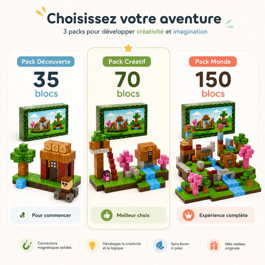 BlocWorld – Monde Magnétique à Construire